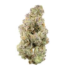 JACK HERER THCA HEMP FLOWER